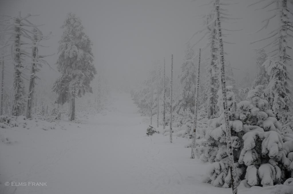 Schneewüste - Riesengebirge