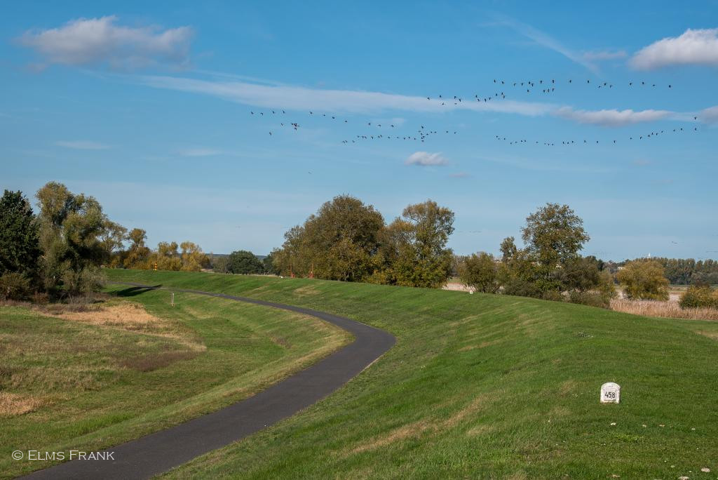 Oder-Radweg bei Kienitz