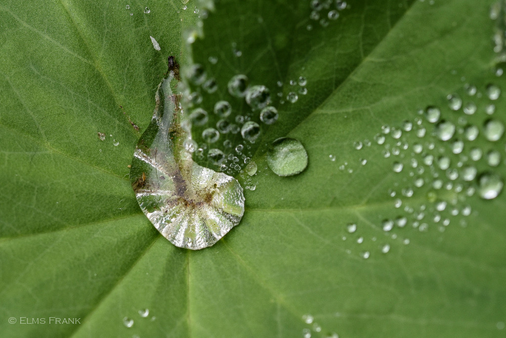 Wassertropfen