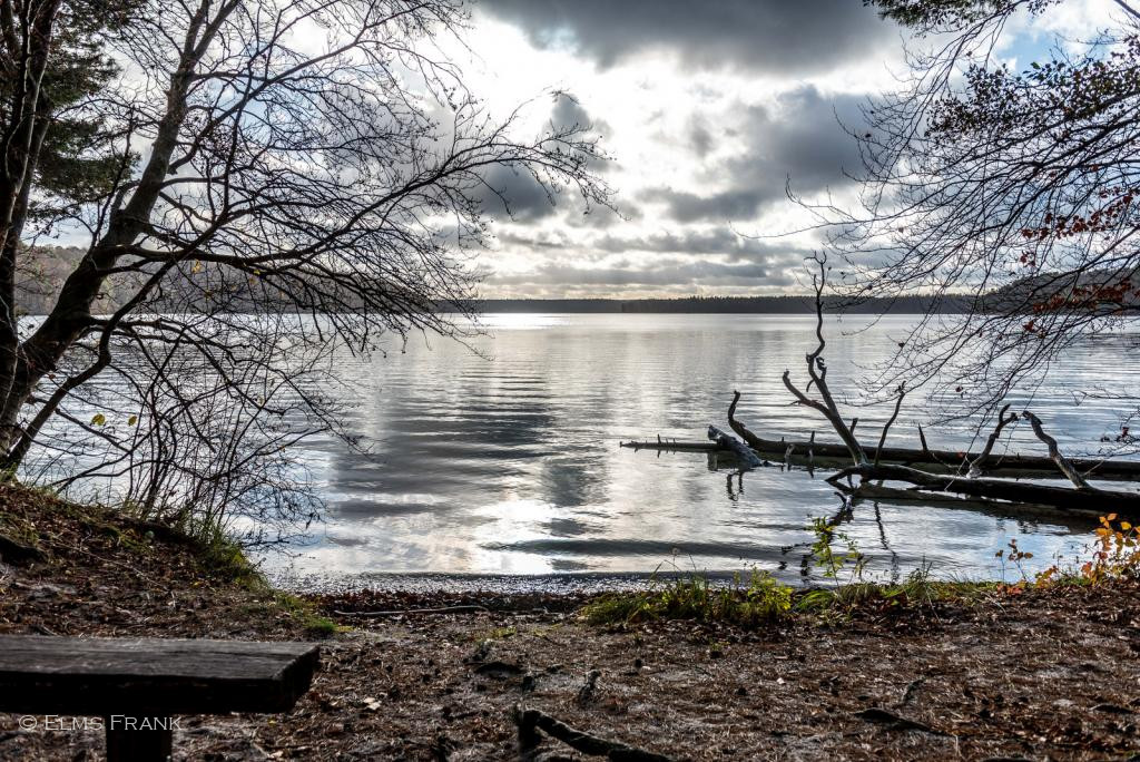 Stechlinsee im November