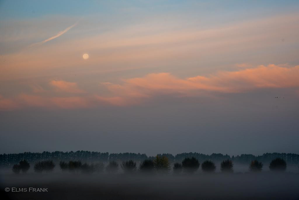 Morgennebel bei Kienitz