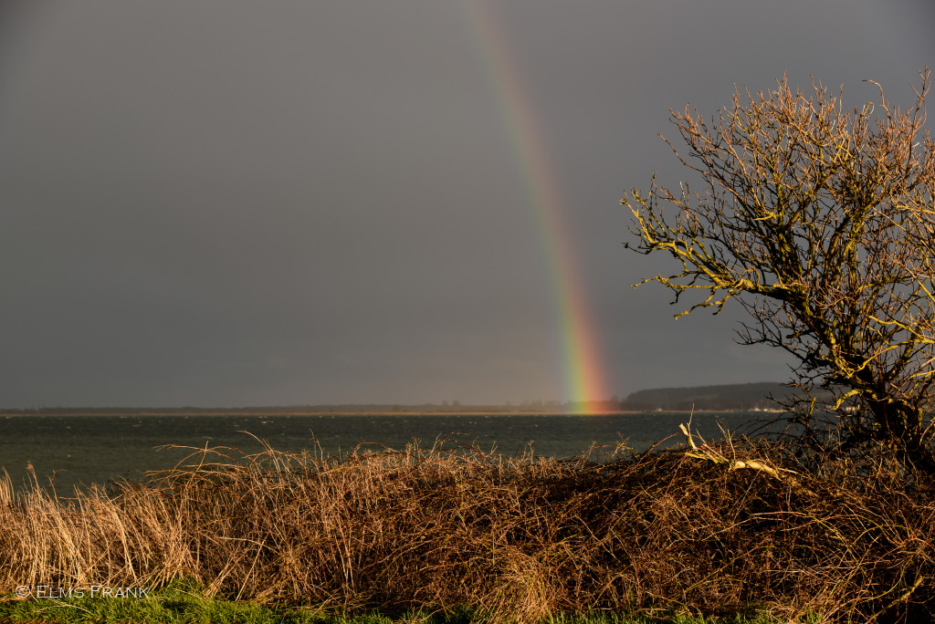 Regenbogen überm Bodden