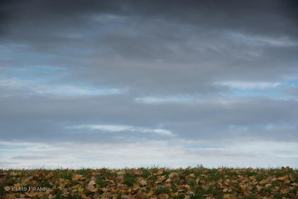 Himmel mit Herbstlaub