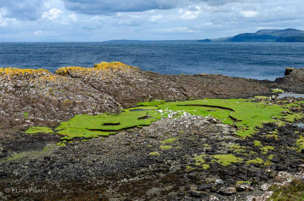 Halbinsel Greshhornish - Isle of Skye