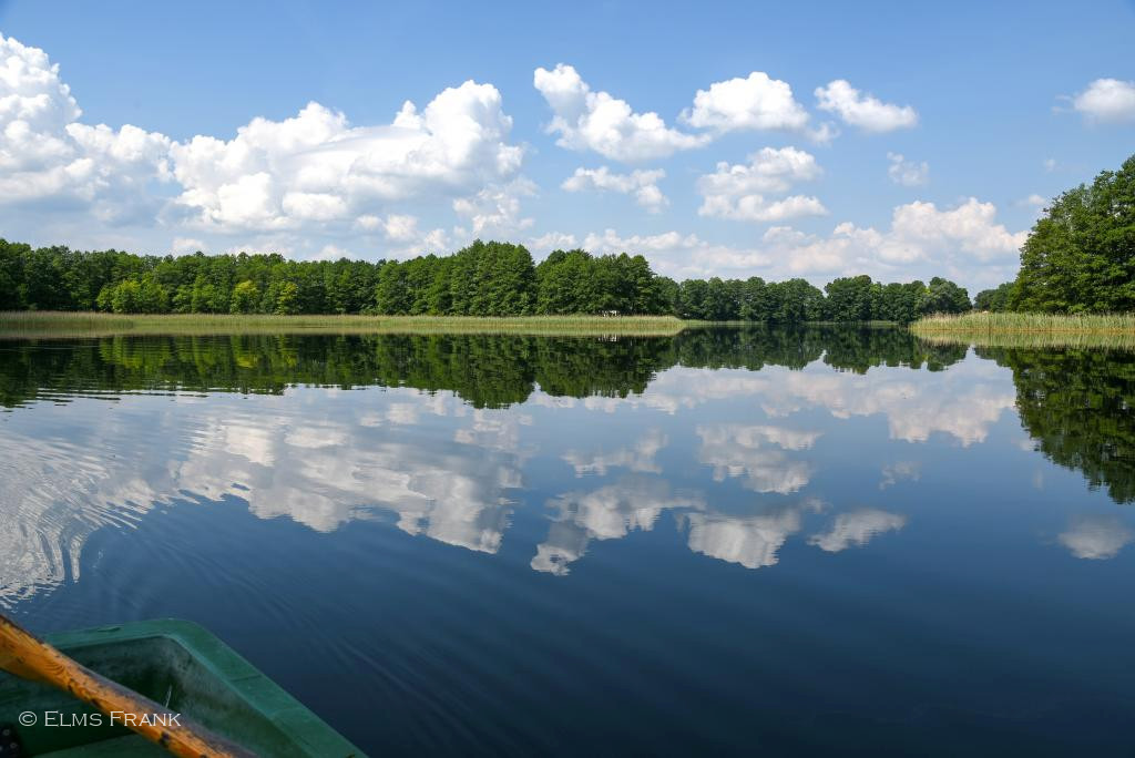 Wasserspiegelung Schorfheide