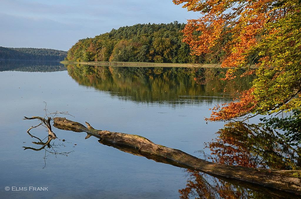 Stechlinsee - Herbstfarben