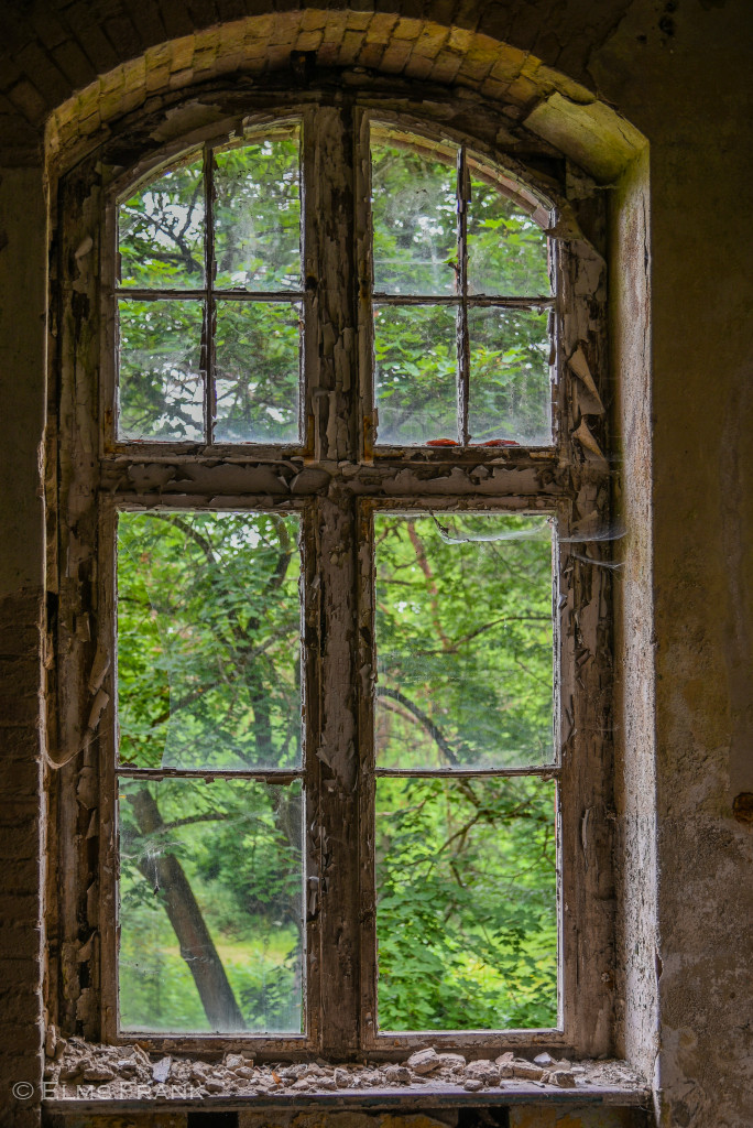 Fensterblick