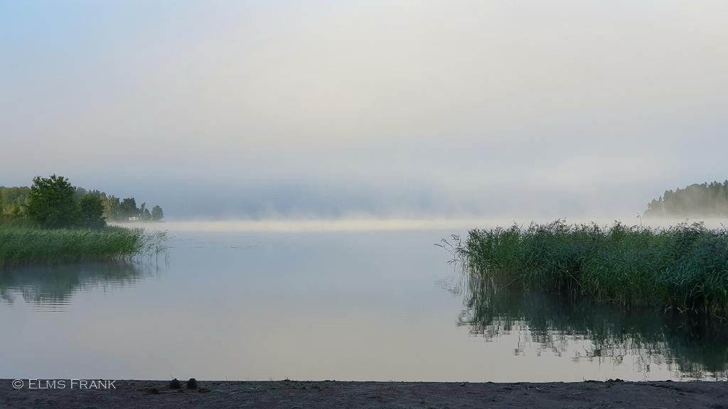 Morgennebel