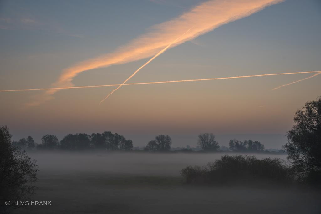 Morgennebel bei Kienitz