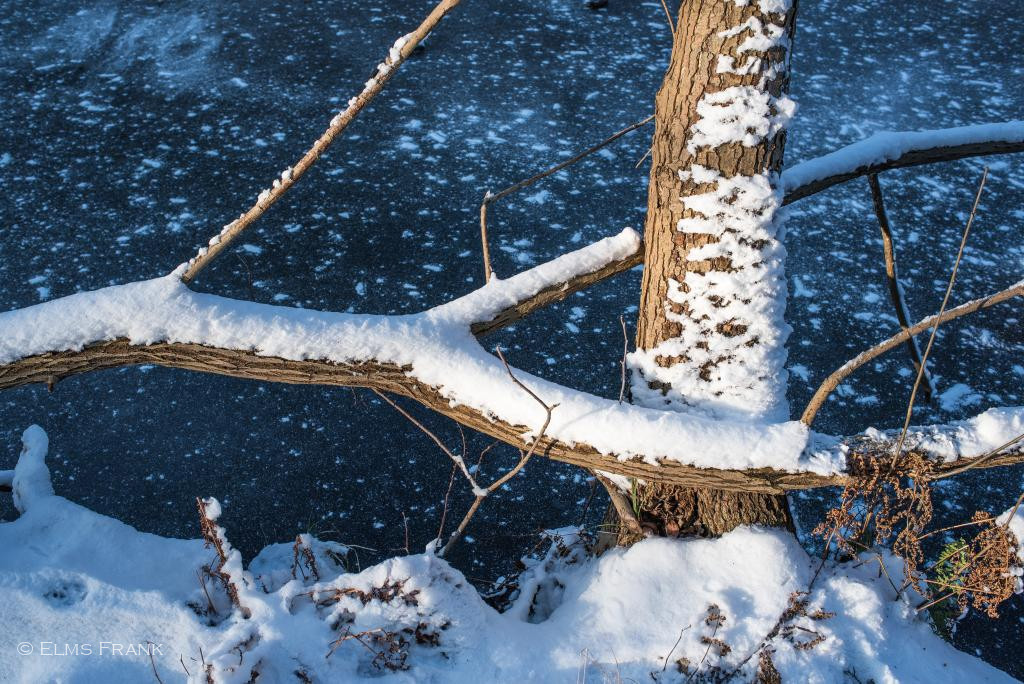 Schnee im Löcknitztal