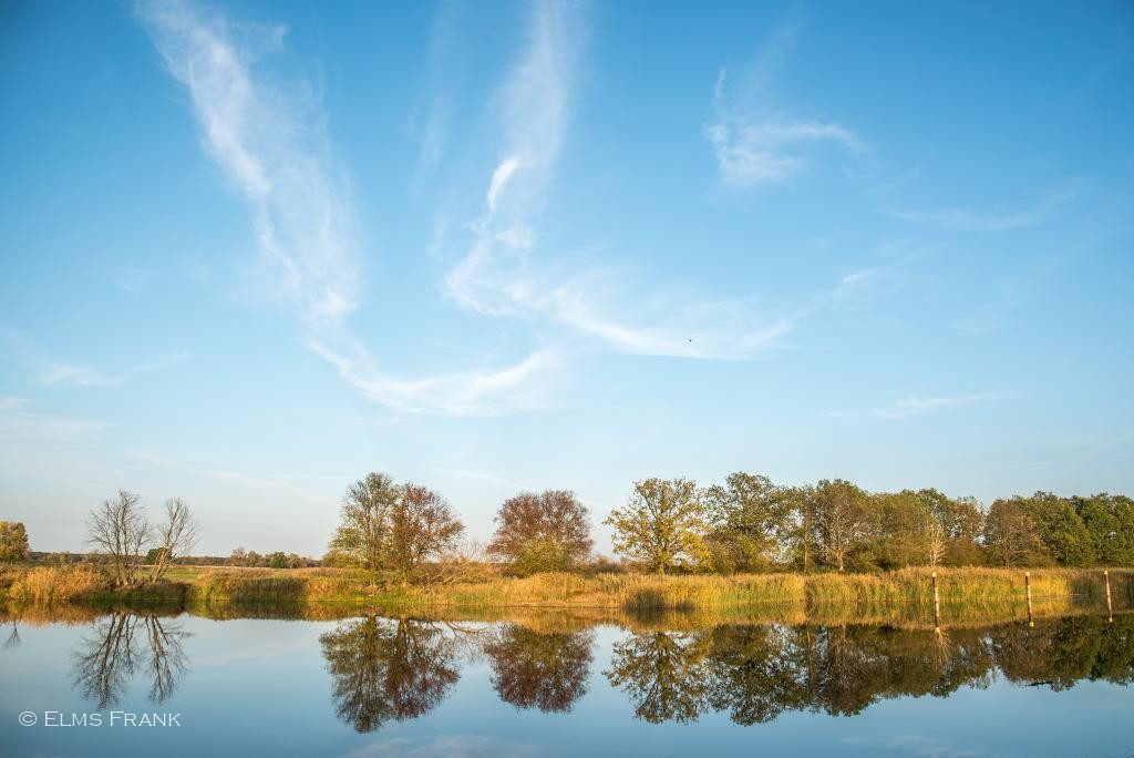 Abendspiegelung in Kienitz