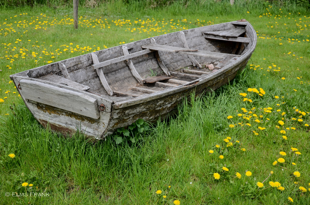 Boot auf Wiese
