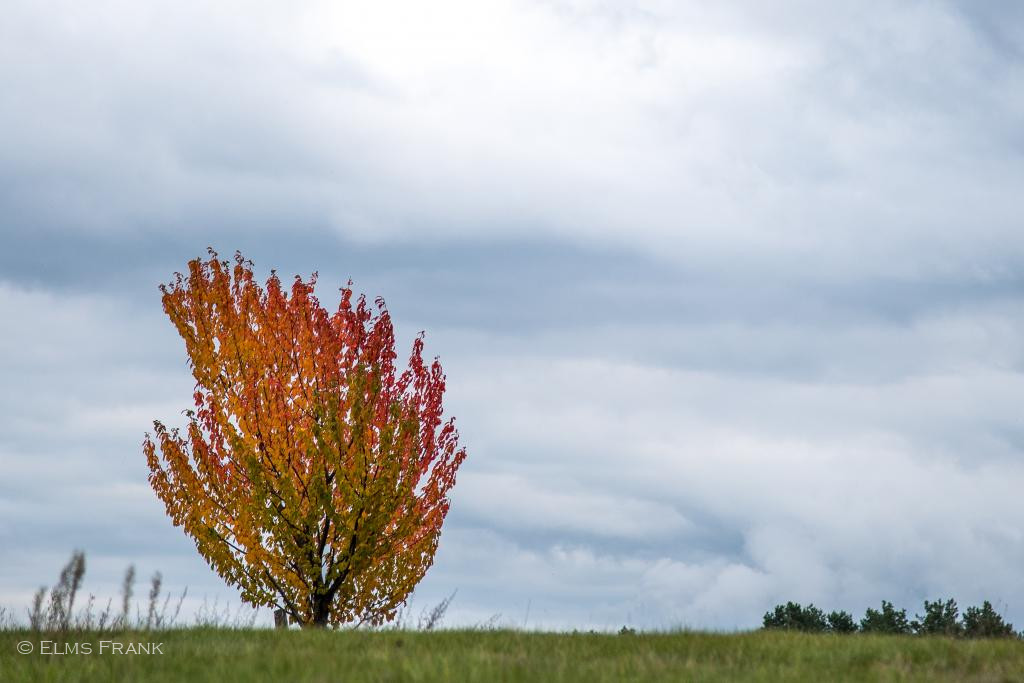 Herbstfarben
