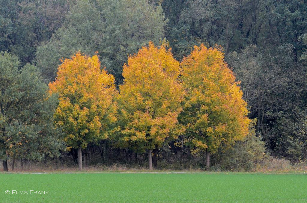 Farbkontrast