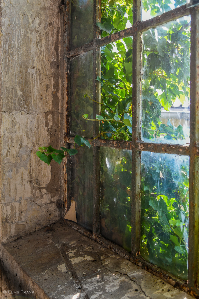 Fabrikfenster