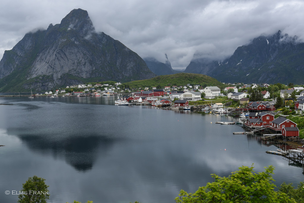 Reine