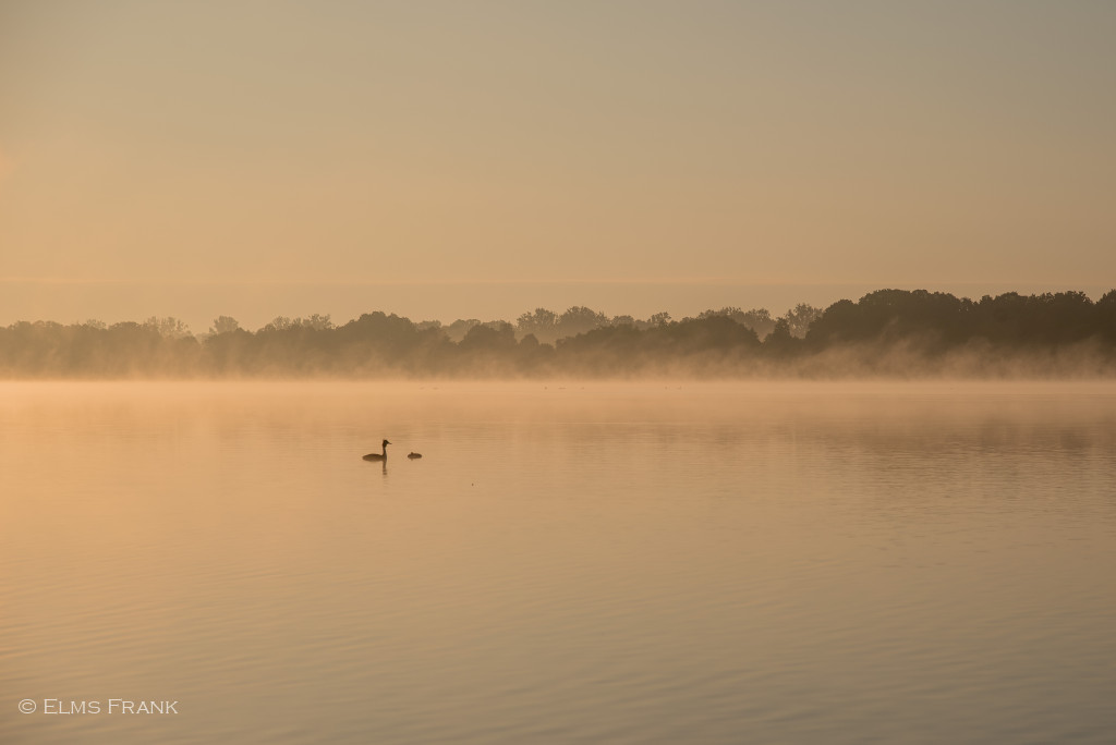 Morgenstimmung Mecklenburgische Seenplatte