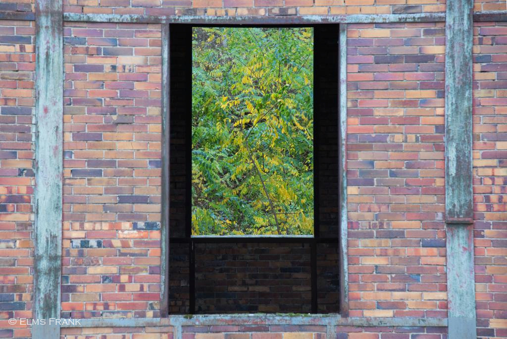 Fabrikmauer Naturfenster