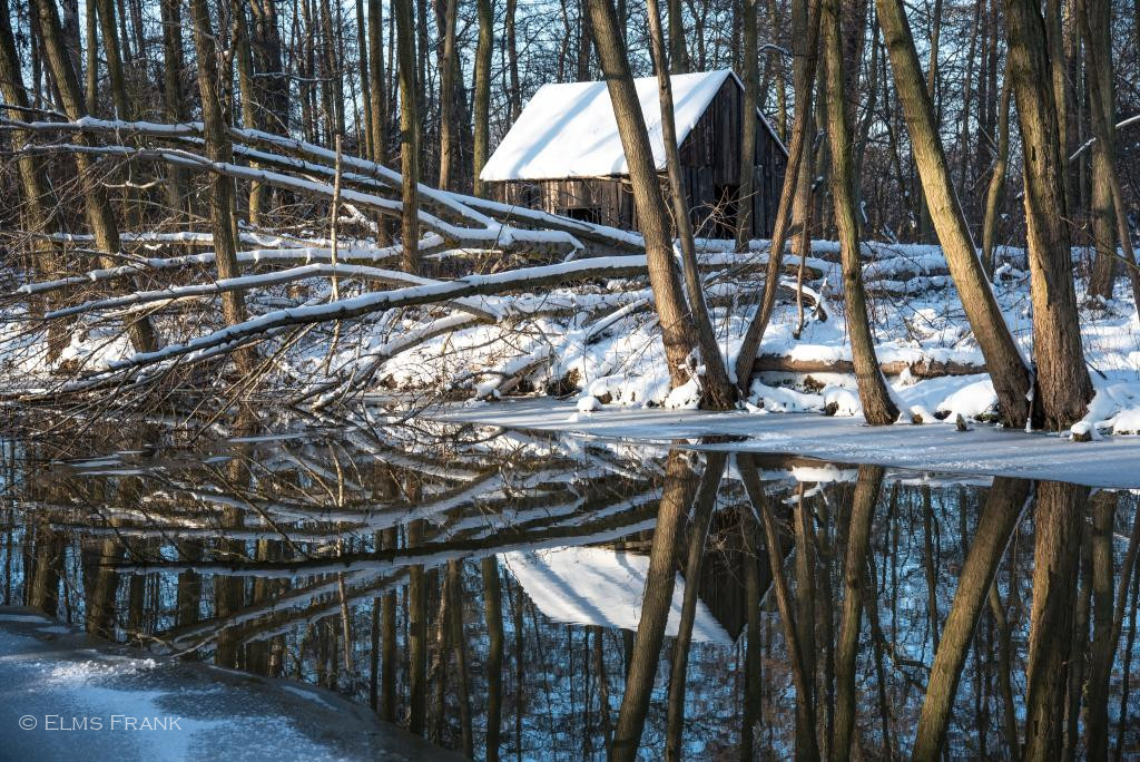 Winter im Spreewald
