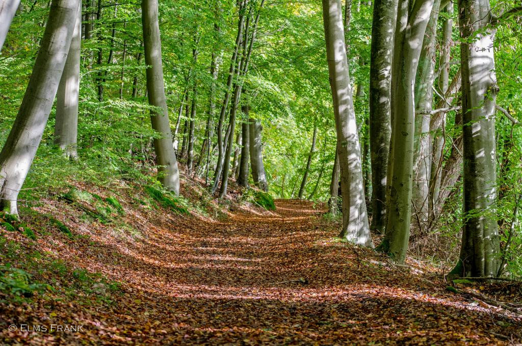 Naturpark Stechlin-Ruppiner Land
