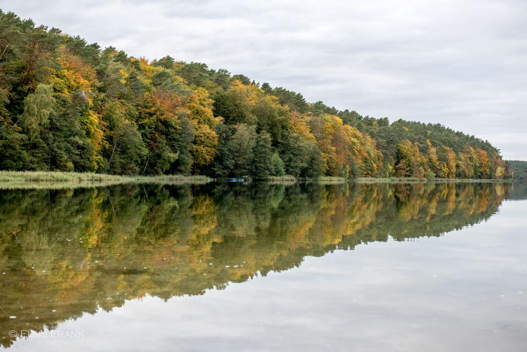 Spiegelung am Roofensee