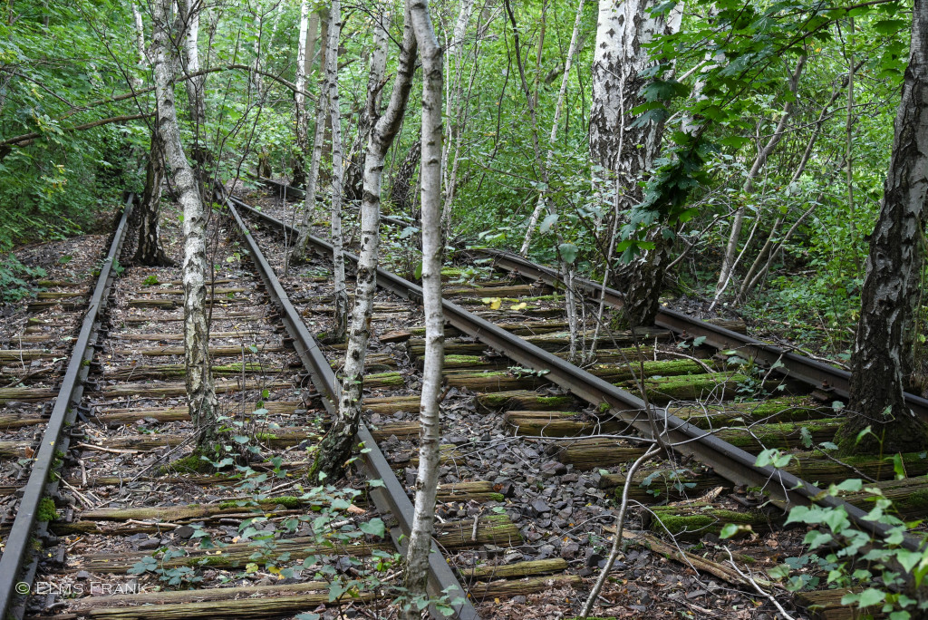 alte Gleise - Schöneberger Südgelände