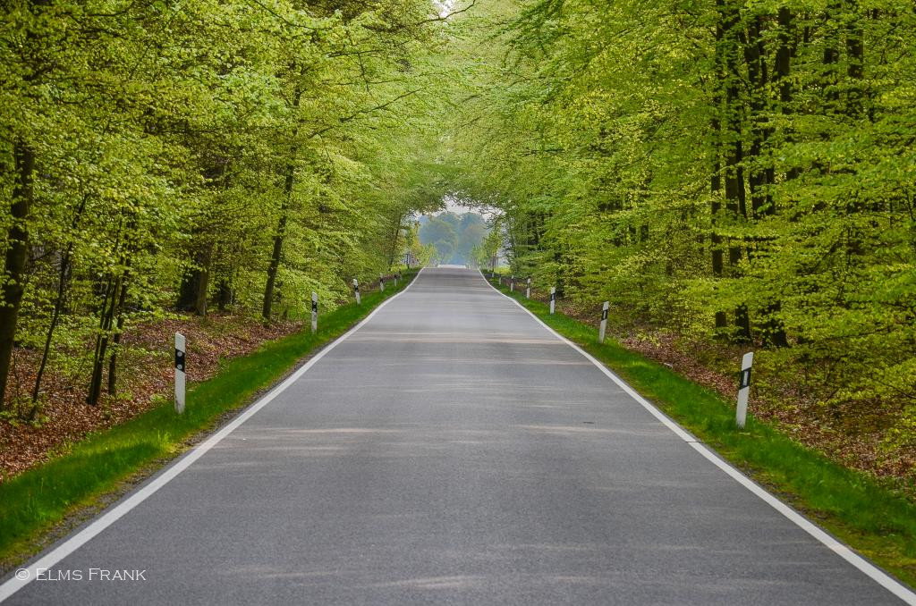 Strassentunnel